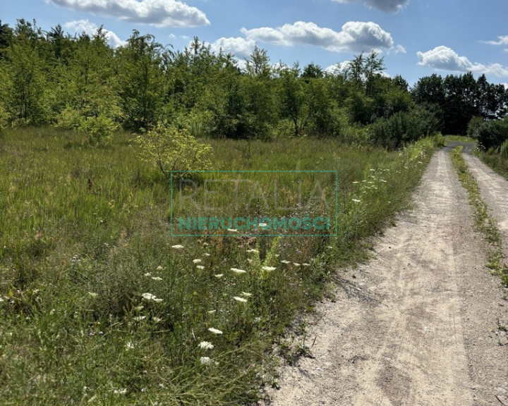 Działka Sprzedaż Jaktorów-Kolonia