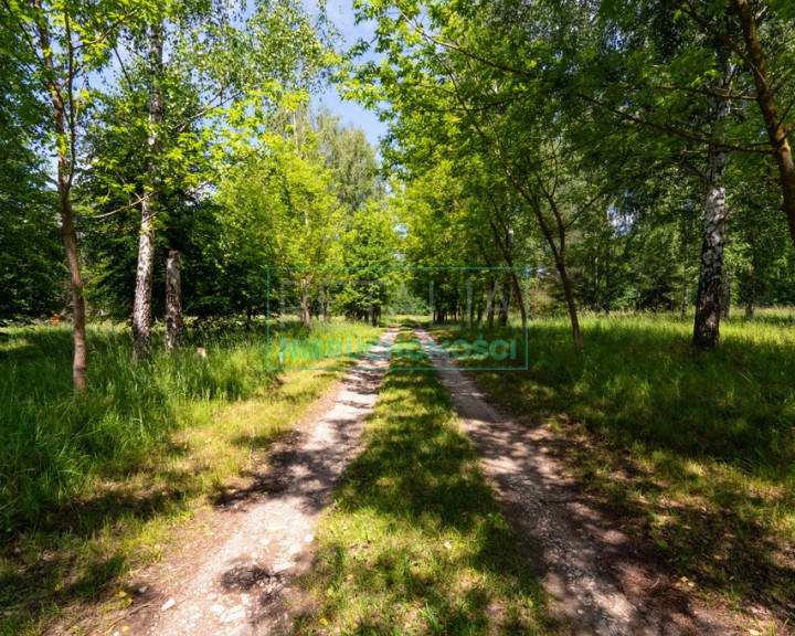 Działka Sprzedaż Kaleń-Towarzystwo