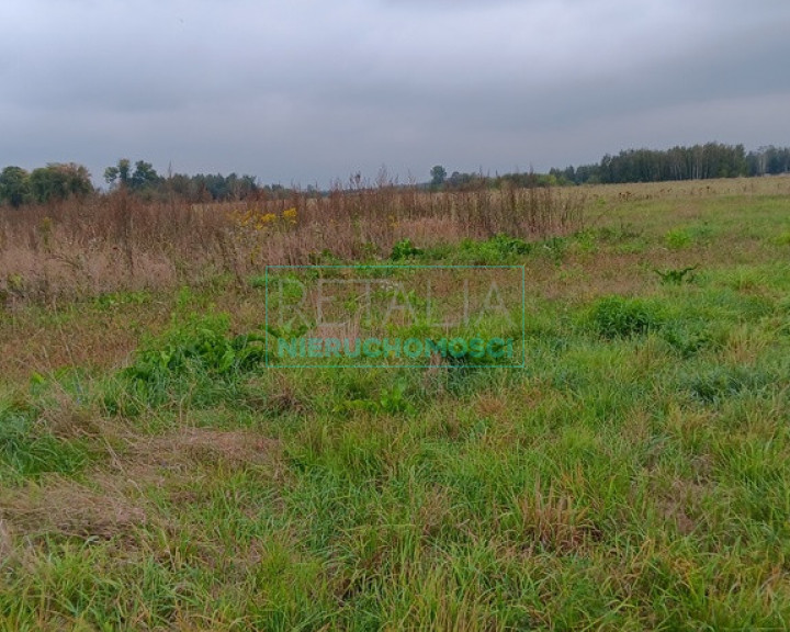 Działka Sprzedaż Kosów