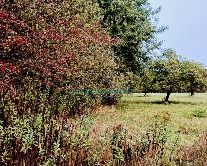 Działka Sprzedaż Nowa Bukówka