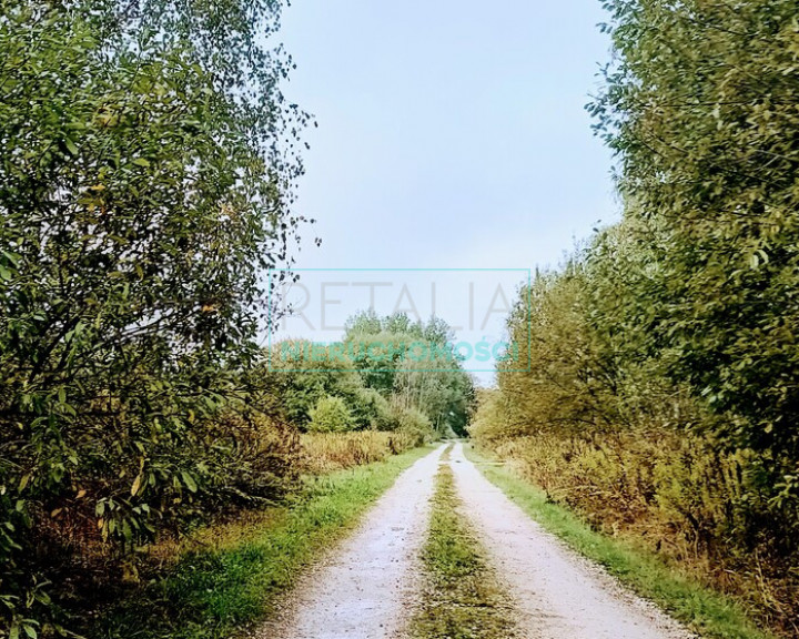 Działka Sprzedaż Nowa Bukówka