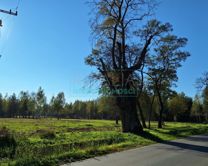 Działka Sprzedaż Radziejowice-Parcel