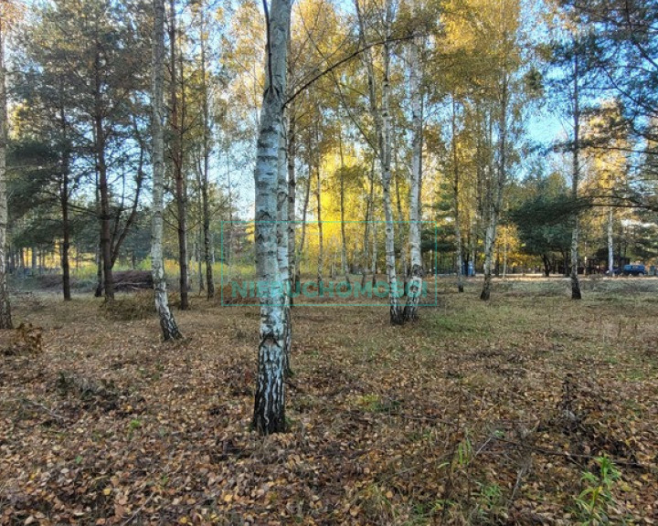 Działka Sprzedaż Osowiec