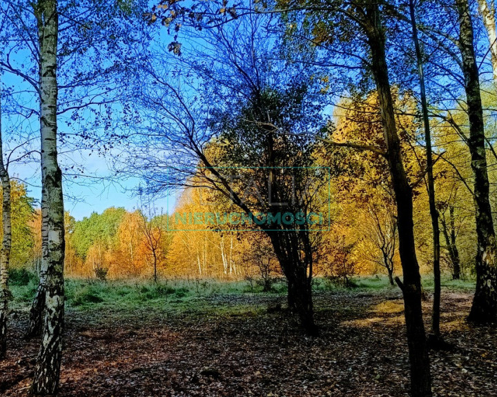 Działka Sprzedaż Radonie