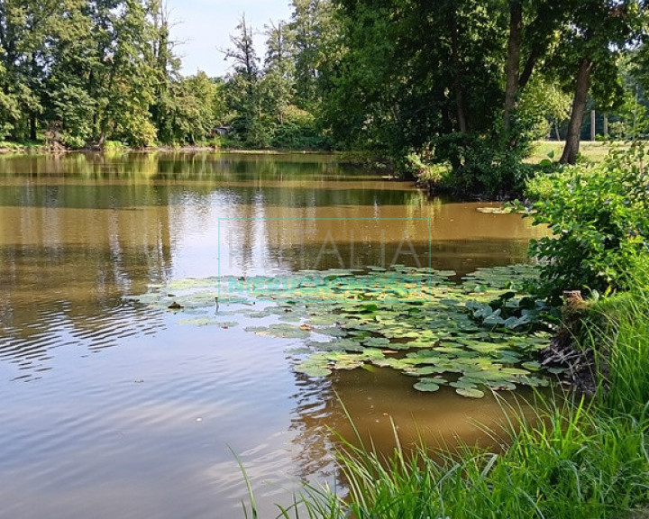 Działka Sprzedaż Grodzisk Mazowiecki