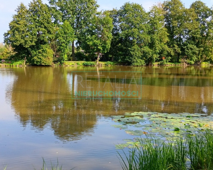 Działka Sprzedaż Grodzisk Mazowiecki