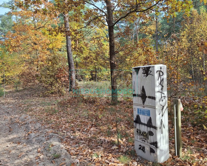 Działka Sprzedaż Radziejowice