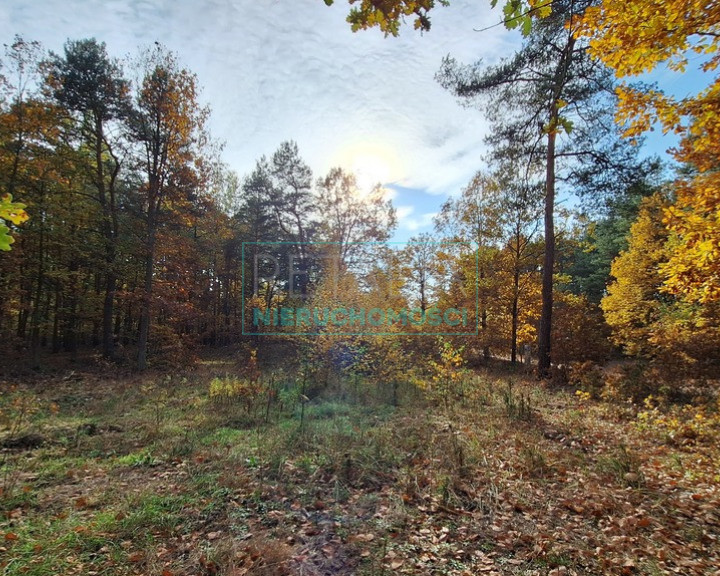 Działka Sprzedaż Radziejowice