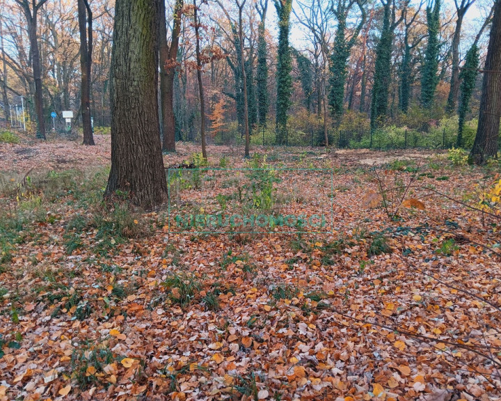 Działka Sprzedaż Podkowa Leśna