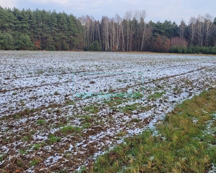 Działka Sprzedaż Wygoda