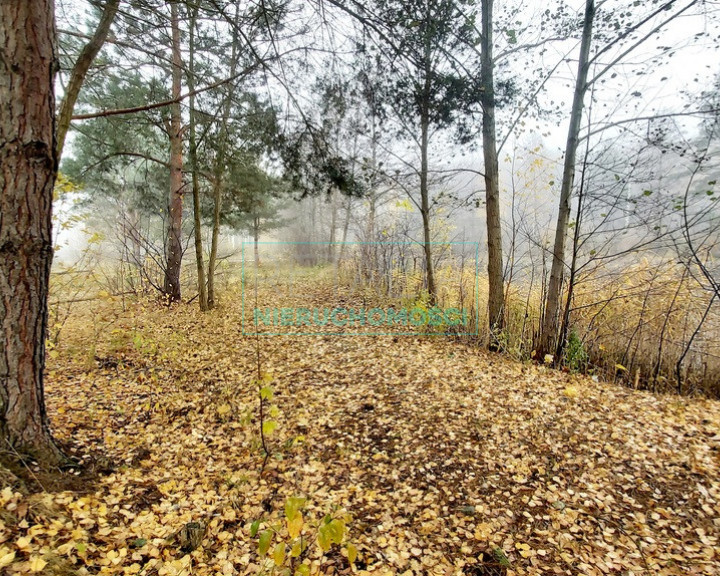 Działka Sprzedaż Janinów