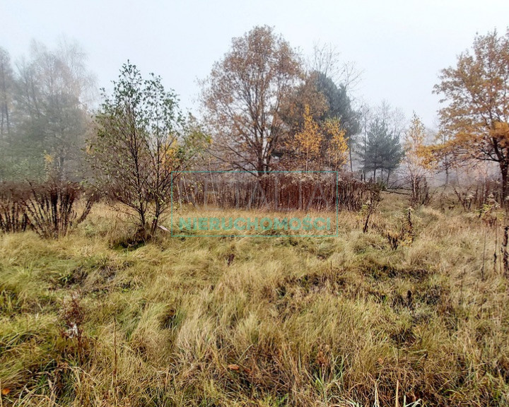 Działka Sprzedaż Janinów