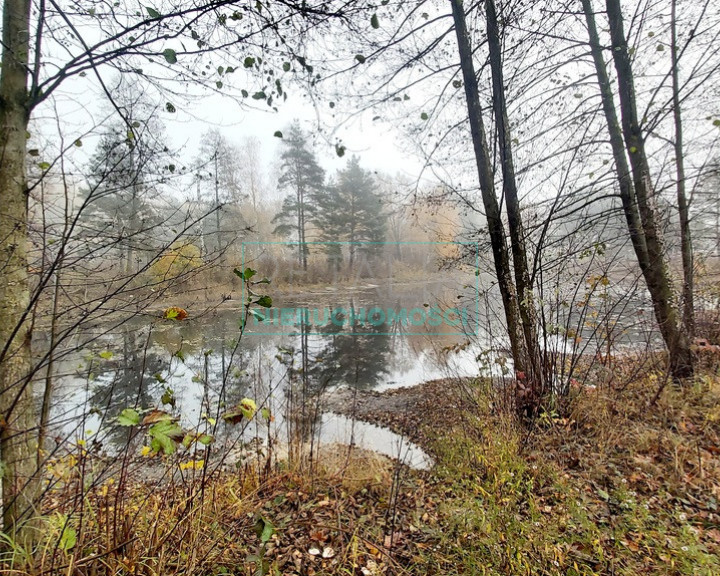 Działka Sprzedaż Janinów