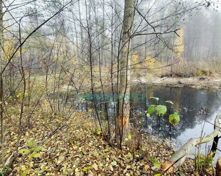 Działka Sprzedaż Janinów