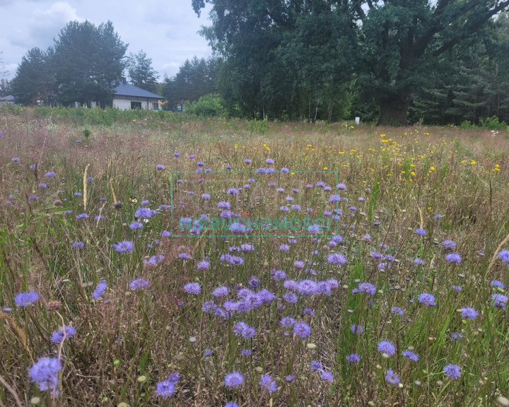 Działka Sprzedaż Osowiec